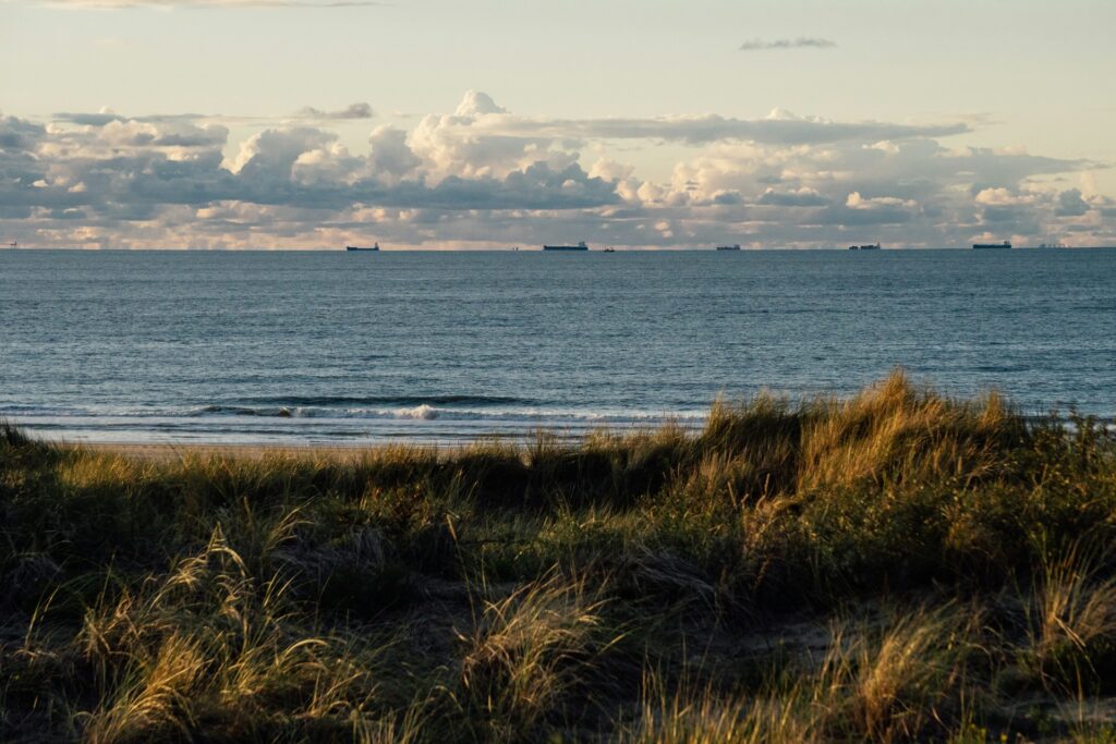 Cloudflare maakt verstoringen internet in Q2 2024 inzichtelijk