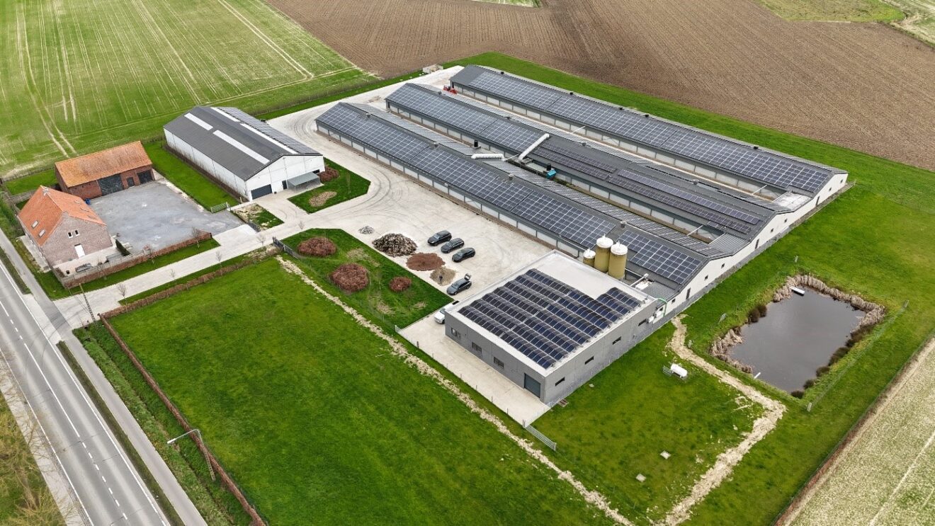 Belgische primeur voor LCL: een zonnepark op Vlaamse landbouwdaken