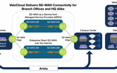 Arista breidt AI-gestuurde campus- en branchenetwerken uit en neemt VeloCloud over